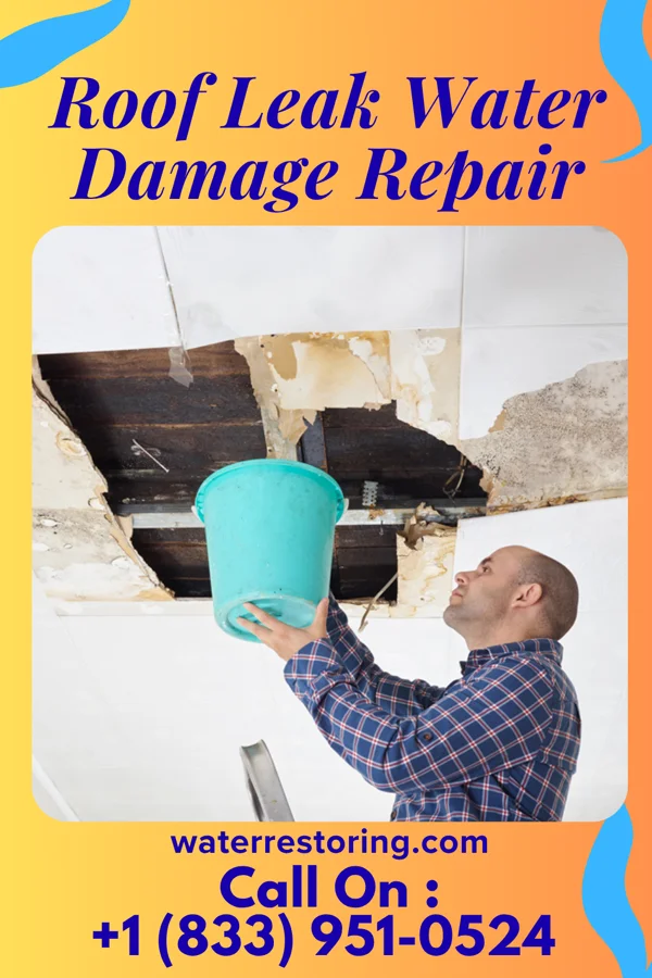 Roof Leak Water Damage Repair in Springfield, OR